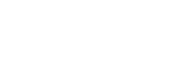American Retirement Institute logo